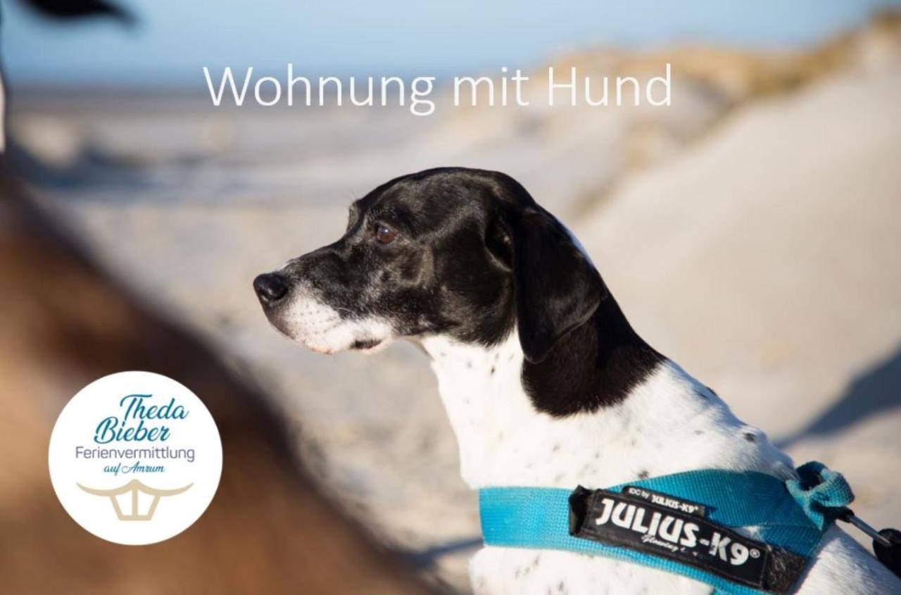 Haus Watthus - Wohnung Paradies Nebel Buitenkant foto